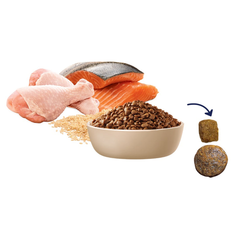 Advance Multi Cat Dry Cat Food Chicken And Salmon With Rice 500g