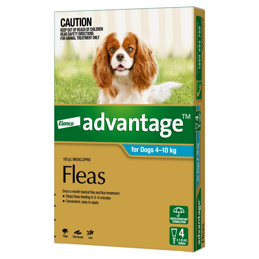 Advantage Dog Medium Aqua
