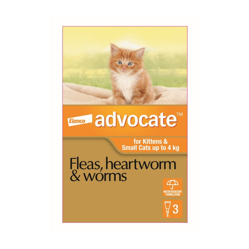 Advocate Cat Small Orange