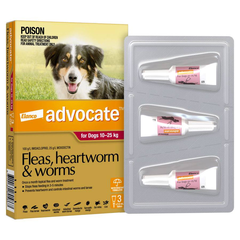 Advocate Dog Large Red
