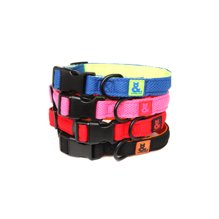 The Rufus & Coco Air Mesh Dog Collars in bright and funky colours - breathable, durable, adjustable and washable!