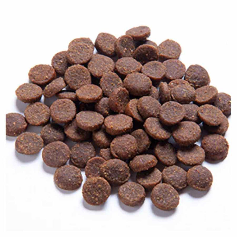 Blackdog Adult Nutrition Gluten Free Lamb Rice