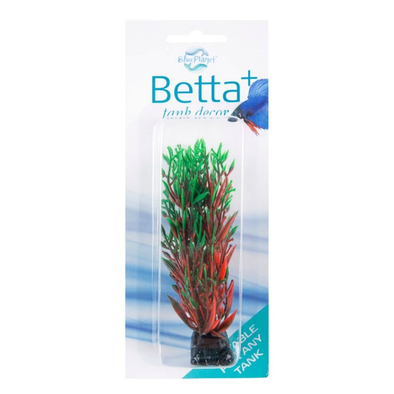 Blue Planet Betta Plant Style 1 Green