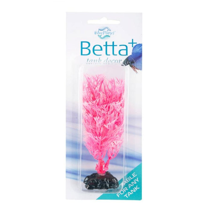 Blue Planet Betta Plant Style 1 Pink