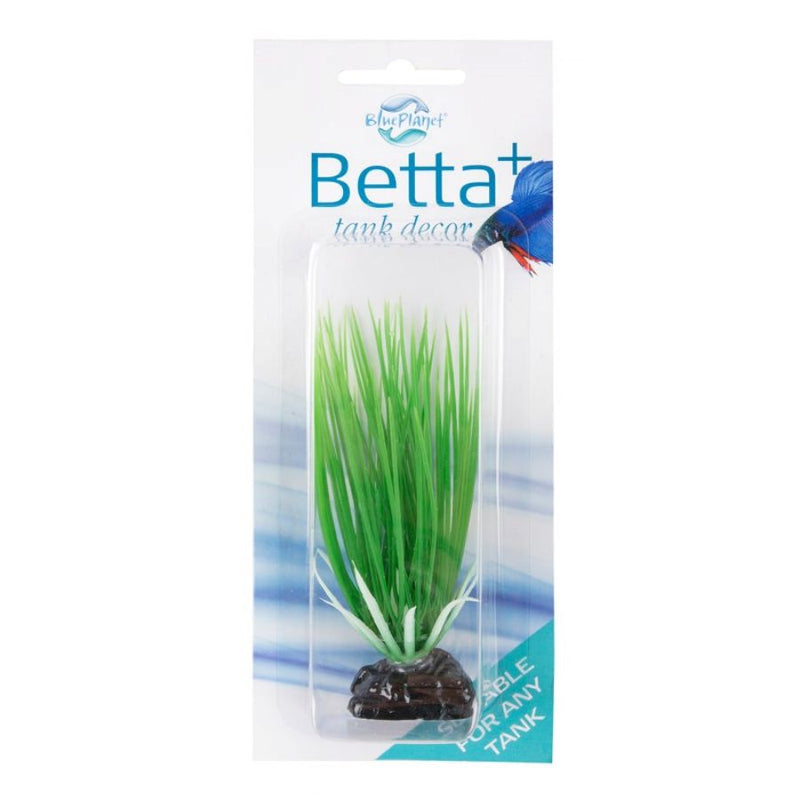 Blue Planet Betta Plant Style 3 Green