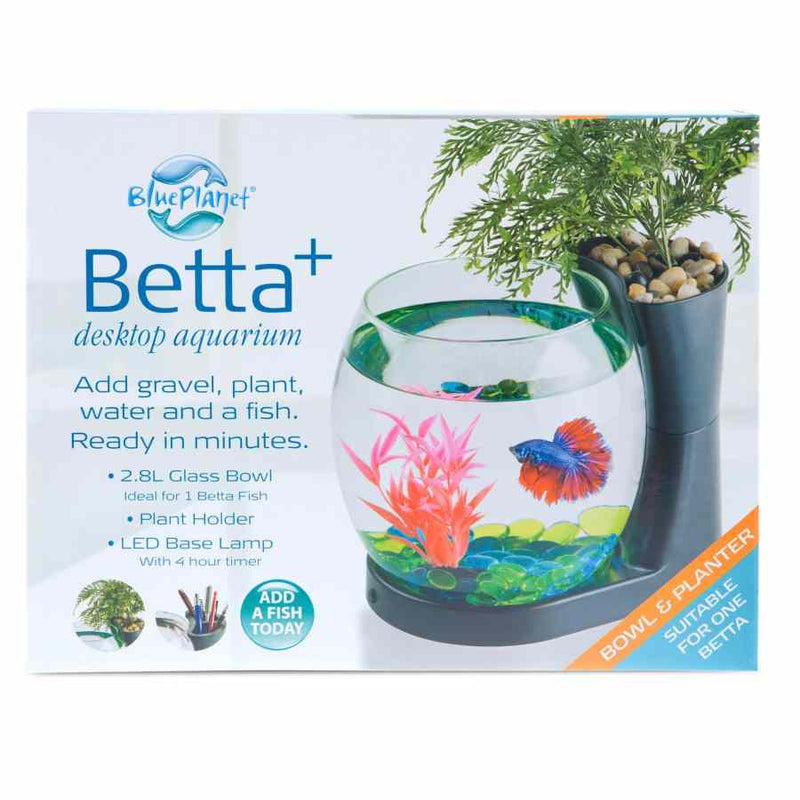 Blue Planet Betta Planter Black – Pet Supplies Empire