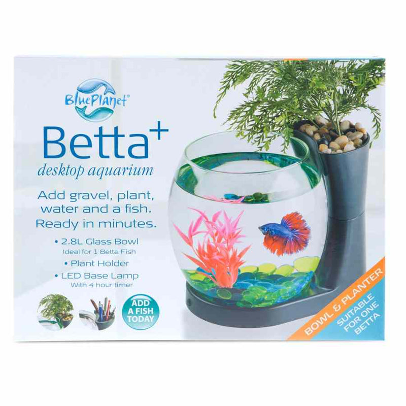 Blue Planet Betta Planter Black