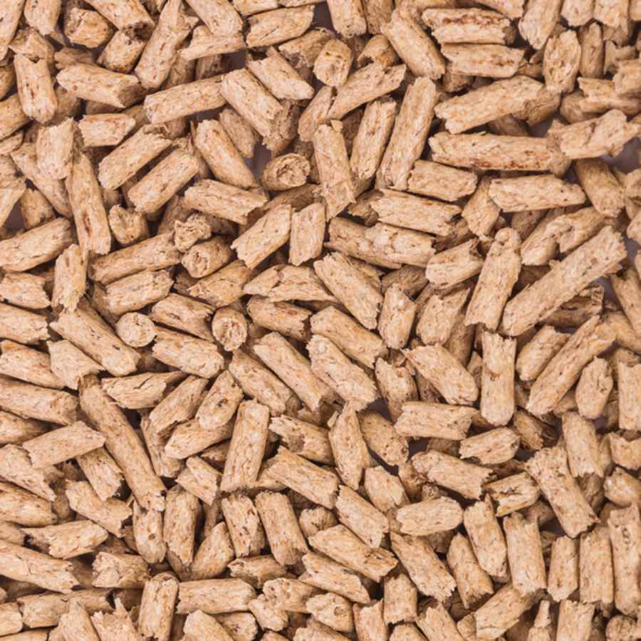 Cedar pellets cat top litter