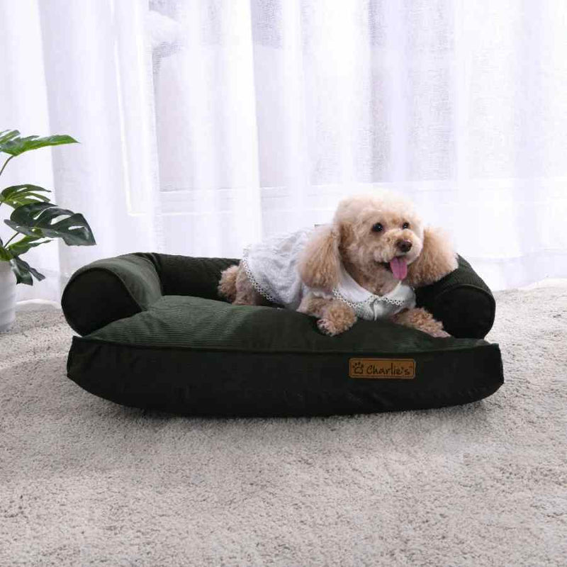 Charlies Corduroy Pet Sofa Bed