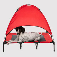 Charlies Elevated Pet Bed With Tent