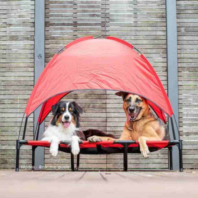 Charlies Elevated Pet Bed With Tent