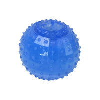 Charlies Freezy Ball Dog Toy Blue