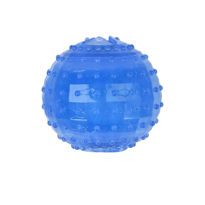 Charlies Freezy Ball Dog Toy Blue