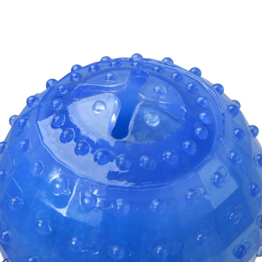 Charlies Freezy Ball Dog Toy Blue