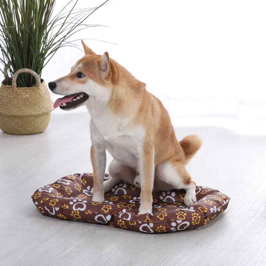 Charlies Summer Pawtton Print Cooling Rectangular Bed Brown