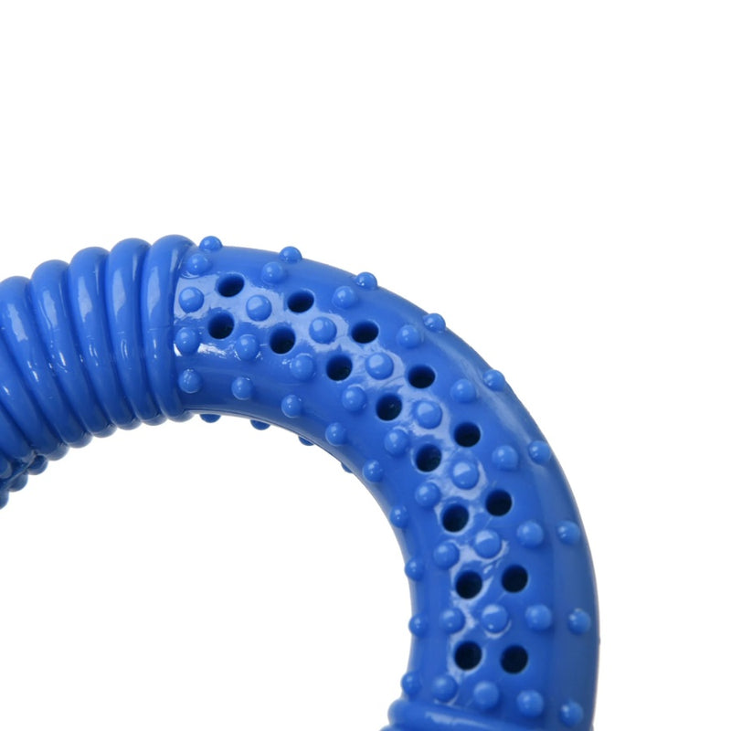 Charlies Thirst Quencher Donut Dog Toy Blue