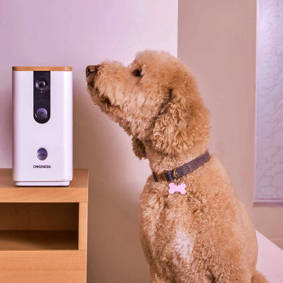 remote dog monitor