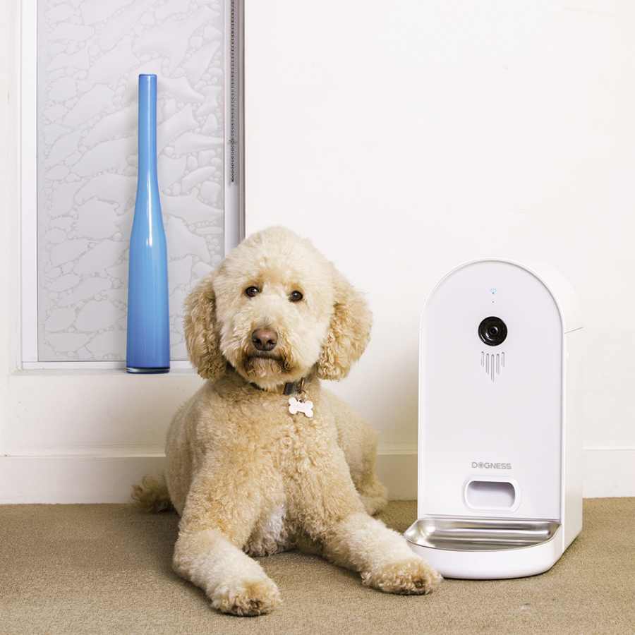 Dogness smartcam clearance feeder