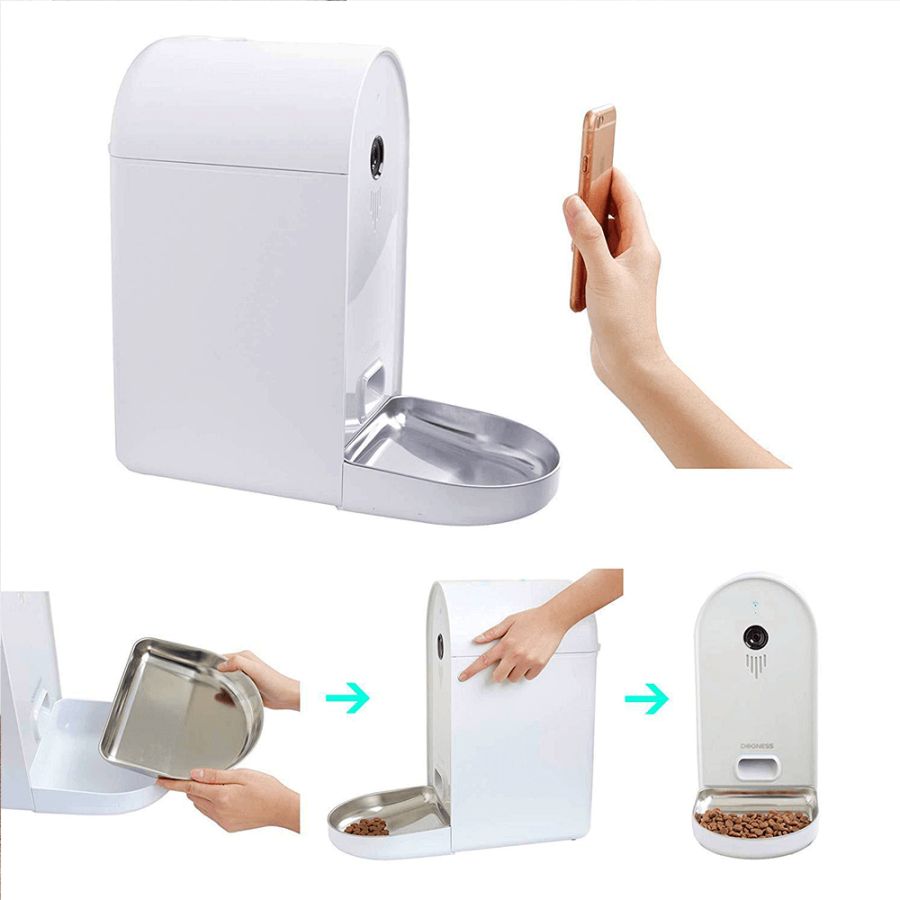 dog camera feeder