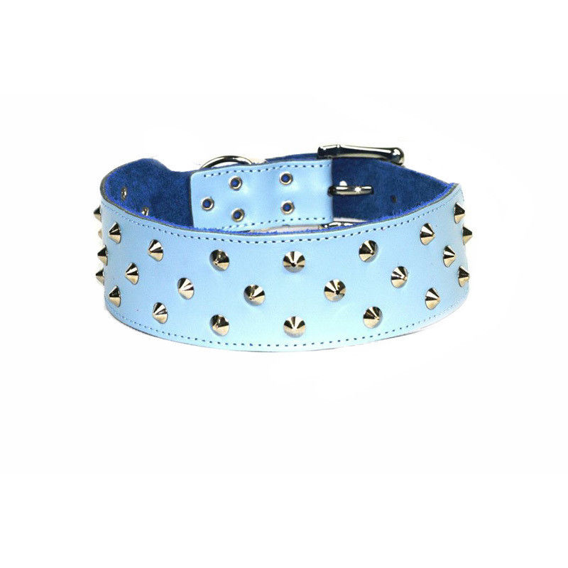 Dogue Stud Muffin Leather Dog Collar Blue