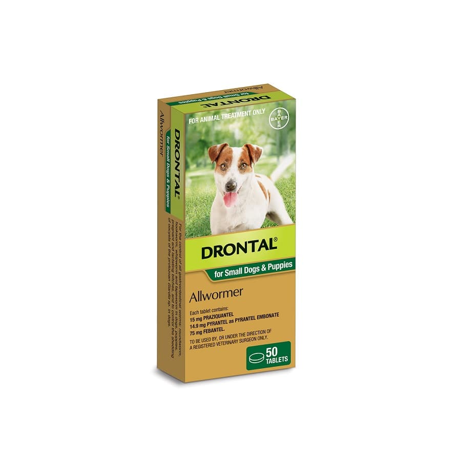 Drontal tablets shop for puppies