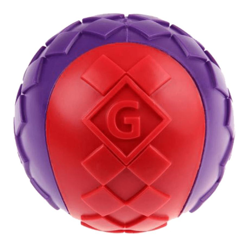 Gigwi Squeaker Ball