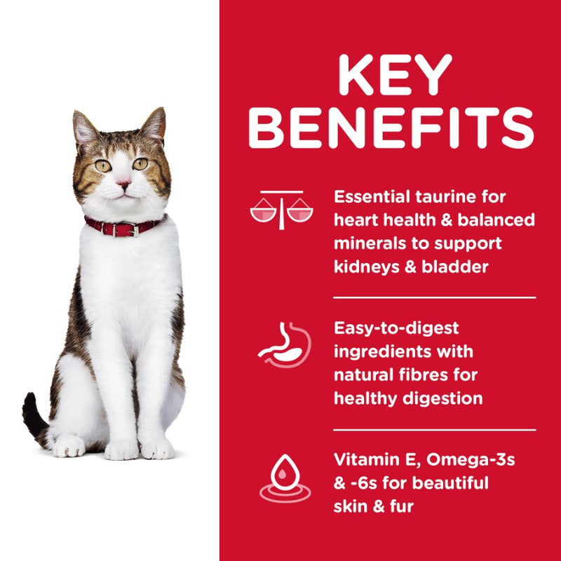 Hills Science Diet Adult 7 Plus Senior Dry Cat Food