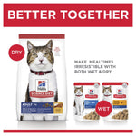 Hills Science Diet Adult 7 Plus Senior Dry Cat Food