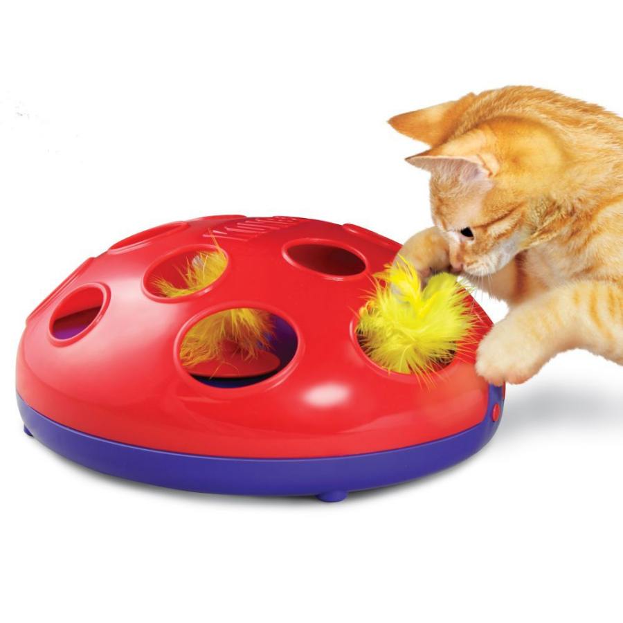 KONG Cat Glide N Seek Feather Toy Replacement
