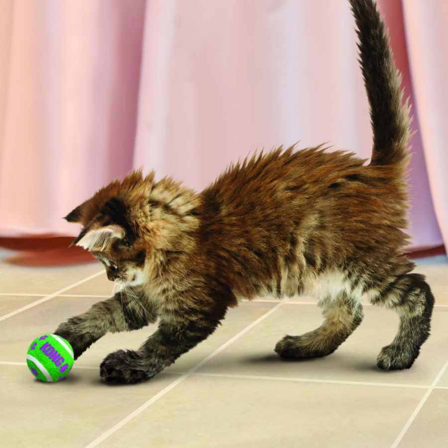 KONG Cat Tennis Balls With Bells