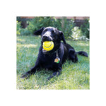 Kong Squeezz Tennis