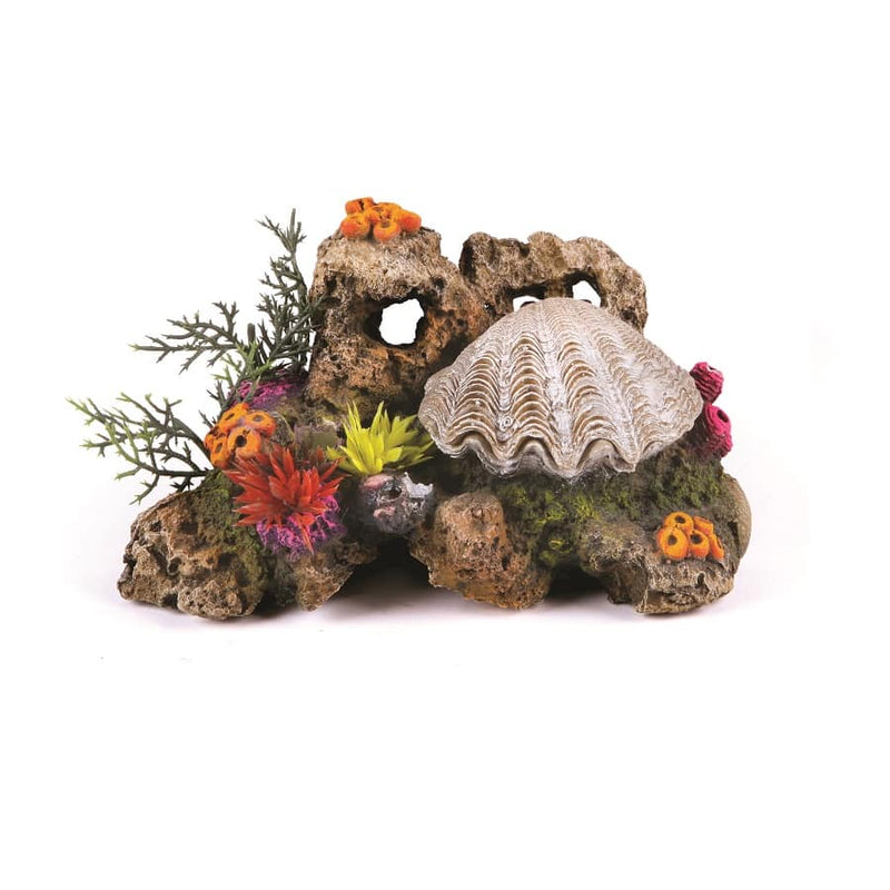 Kazoo Action Clam With Coral and Plants