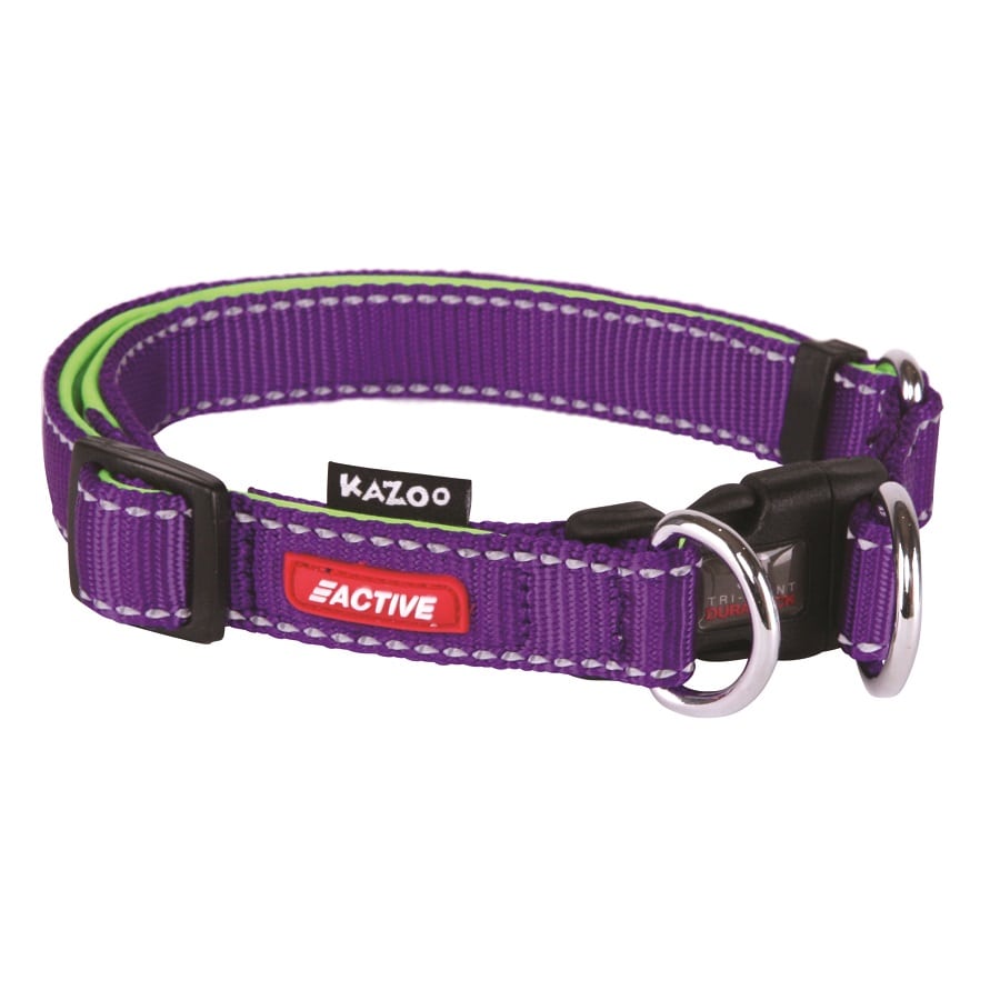 Kazoo Active DD Adjustable Nylon Collar Purple Lime