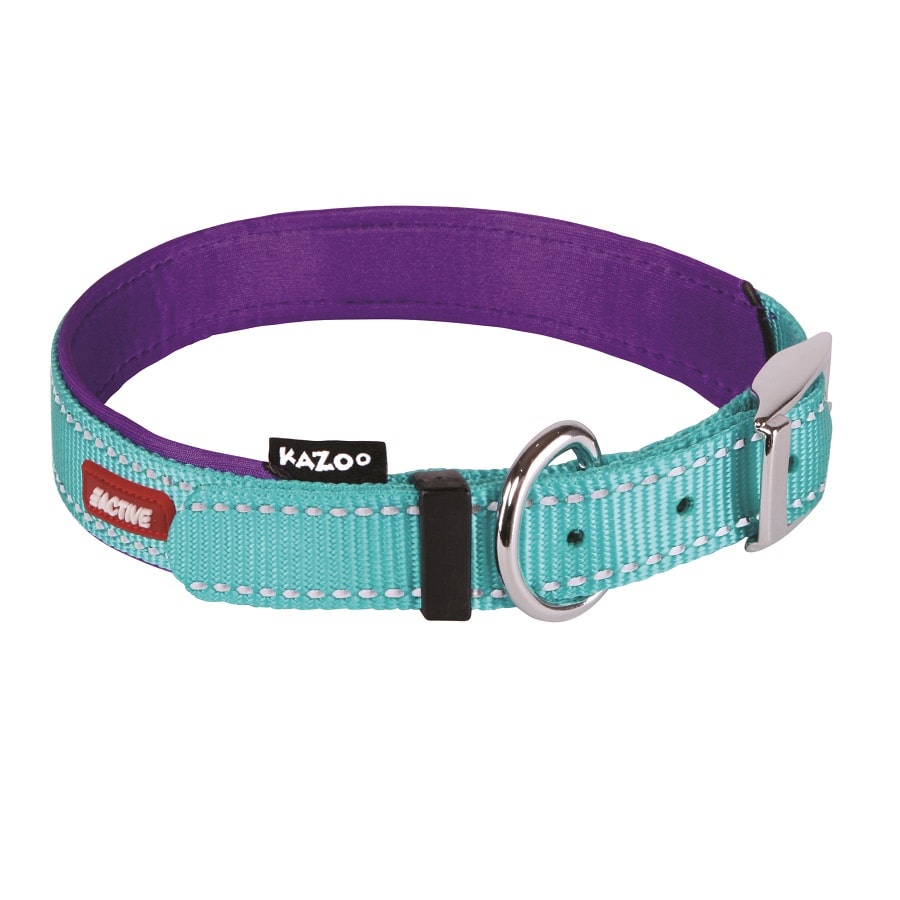 Kazoo Active Nylon Collar Aqua Purple