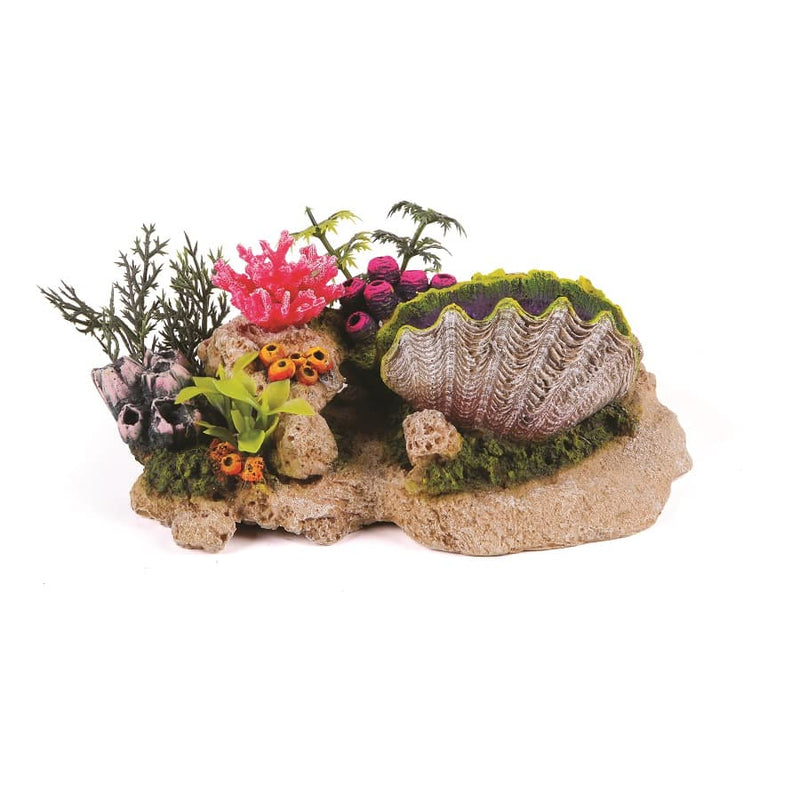 Kazoo Clam With Coral Plants and Air
