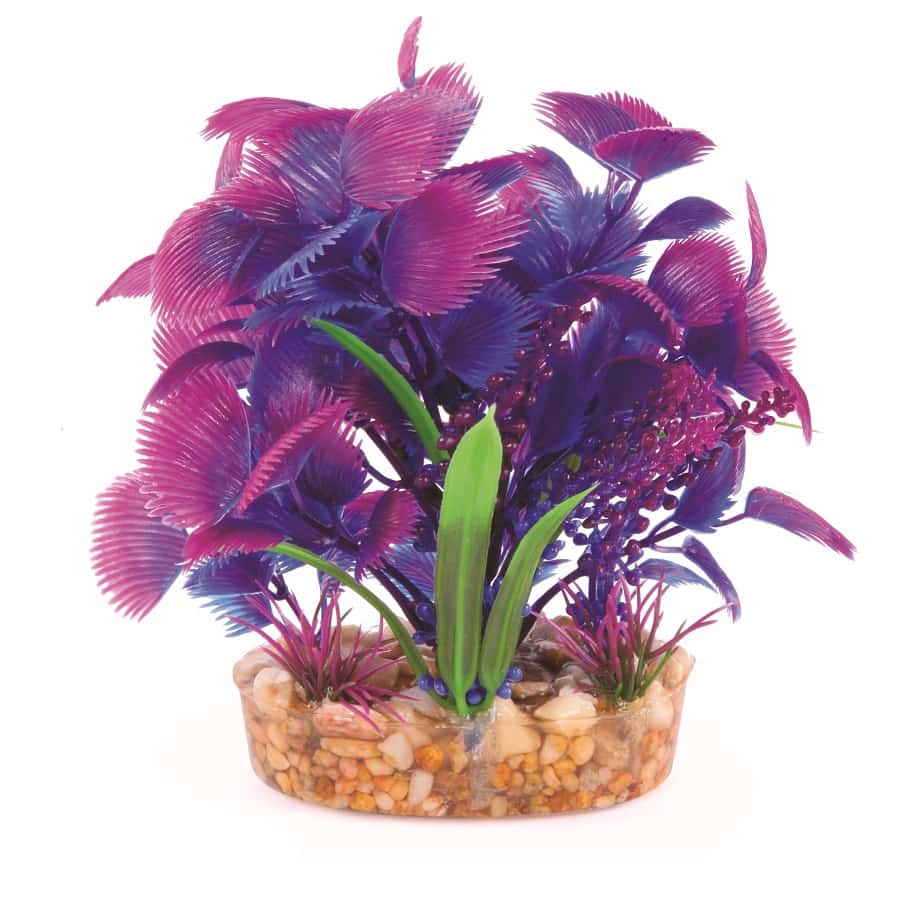 Kazoo Combination Bush Maroon With Assorted Leaf
