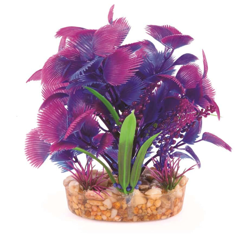 Kazoo Combination Bush Maroon With Assorted Leaf