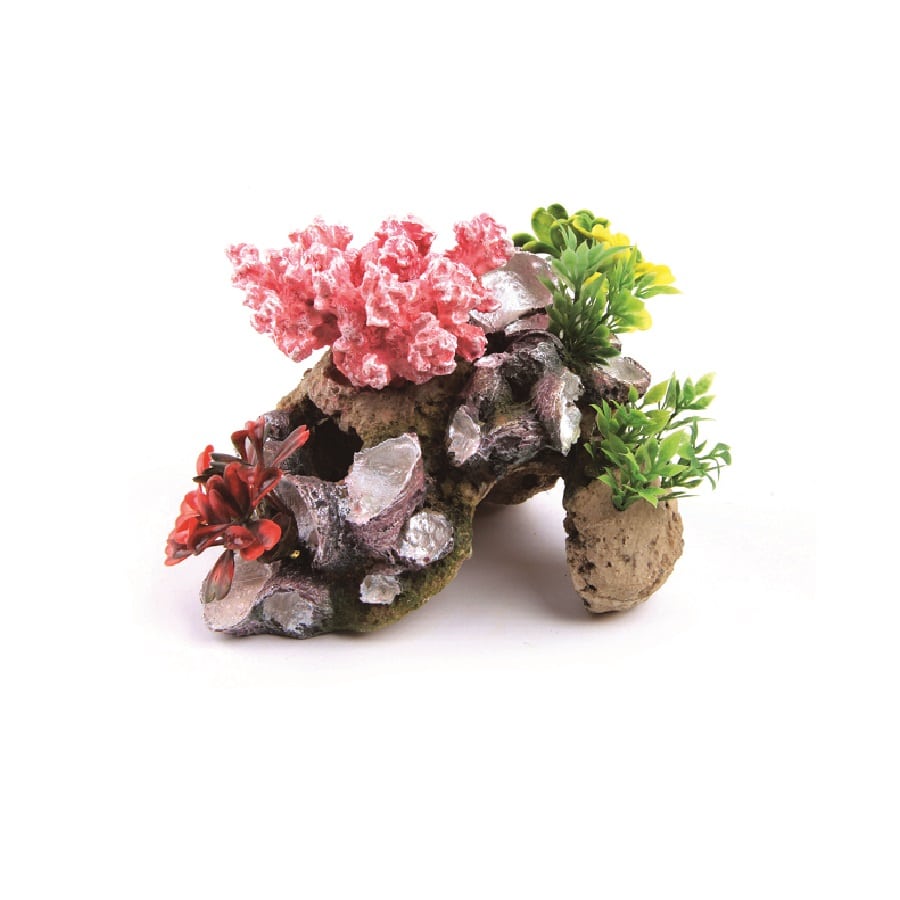 Kazoo Coral With Rock and Plants