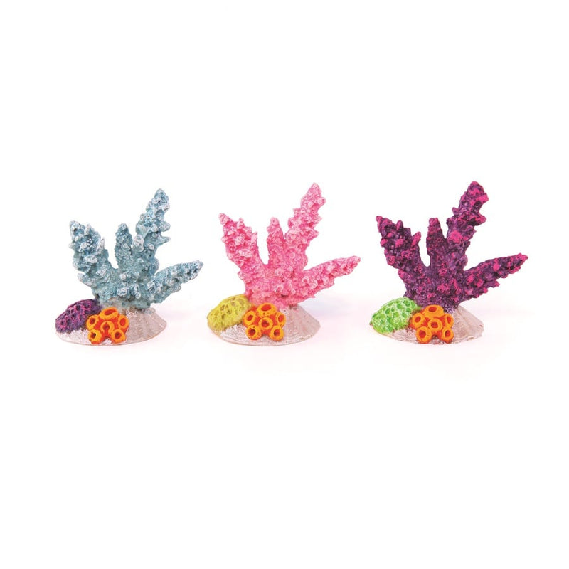 Kazoo Coral With Shell Assorted