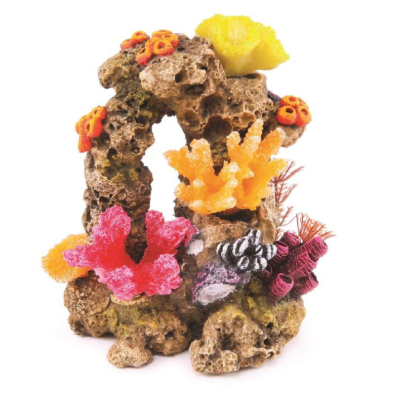 Kazoo Reef Rock With Coral and Plants