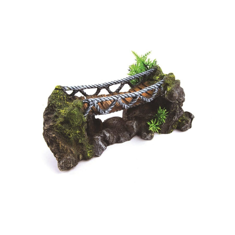 Kazoo Rope Bridge With Plants