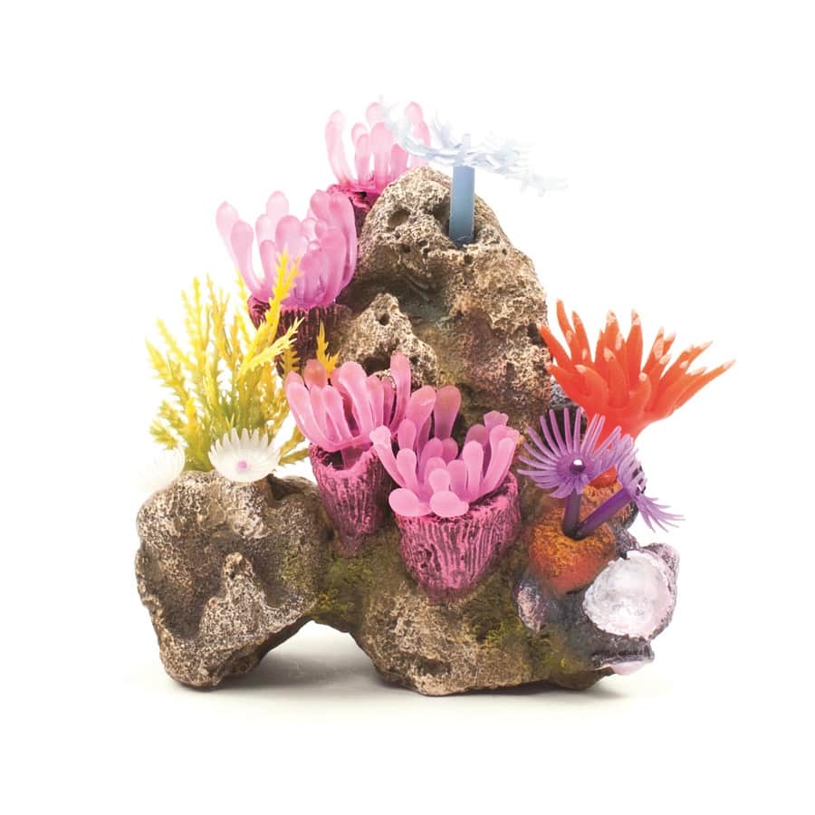 Kazoo Soft Coral Garden With Rock