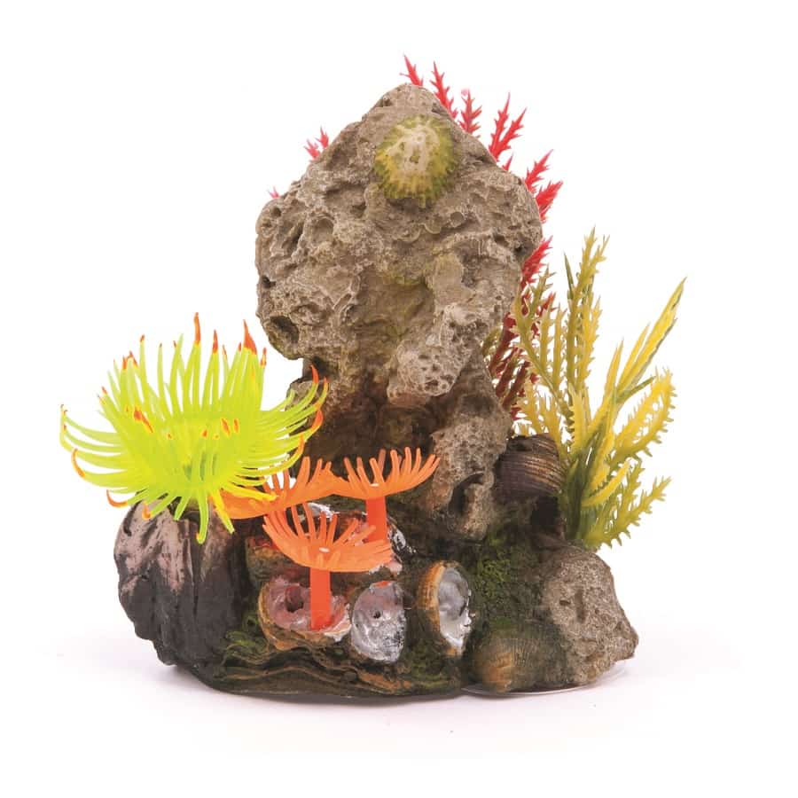 Kazoo Soft Coral Stone With Plants