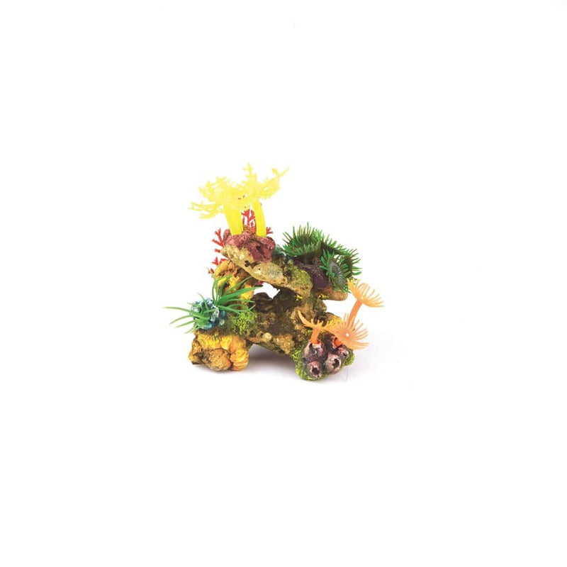 Kazoo Soft Coral With Plants