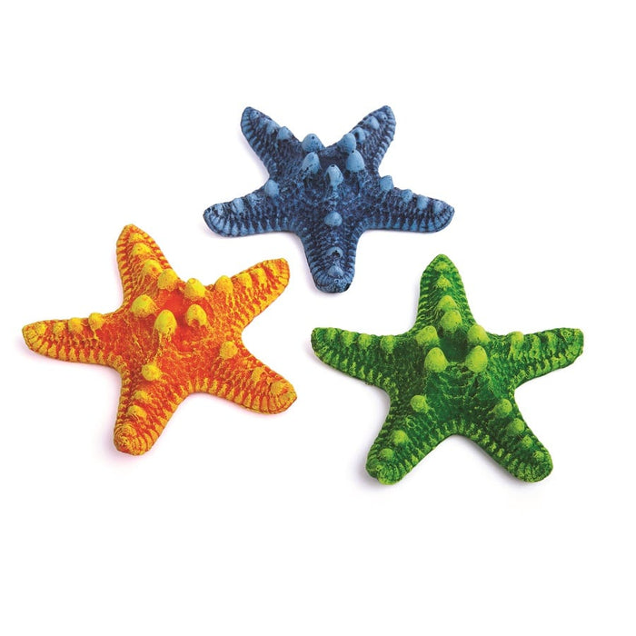 Kazoo Starfish Assorted 3pcs
