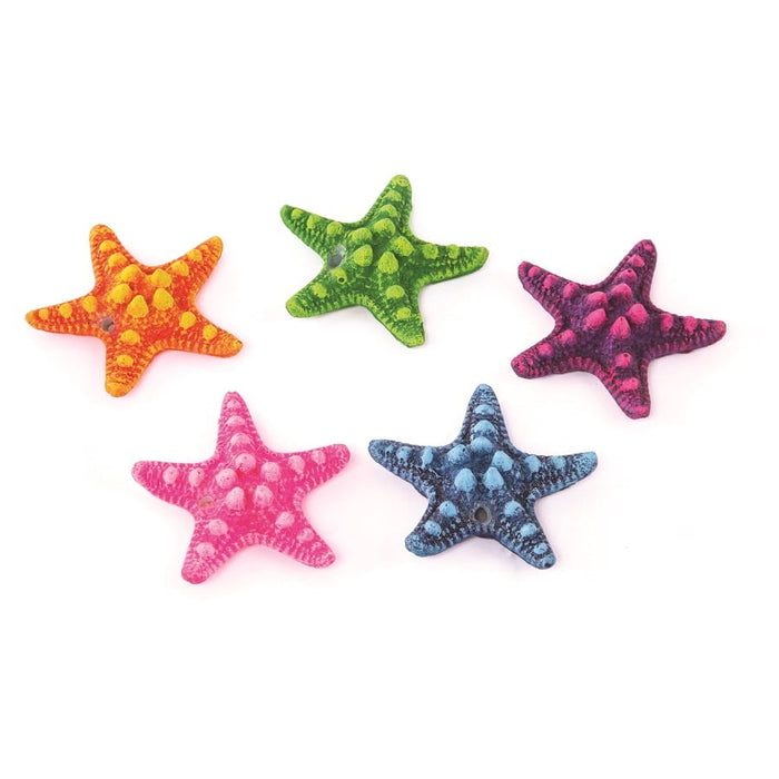 Kazoo Starfish Assorted 5pcs