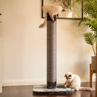 Kazoo Cat Scratch Post