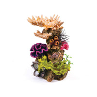 Kazoo Coral With Plant