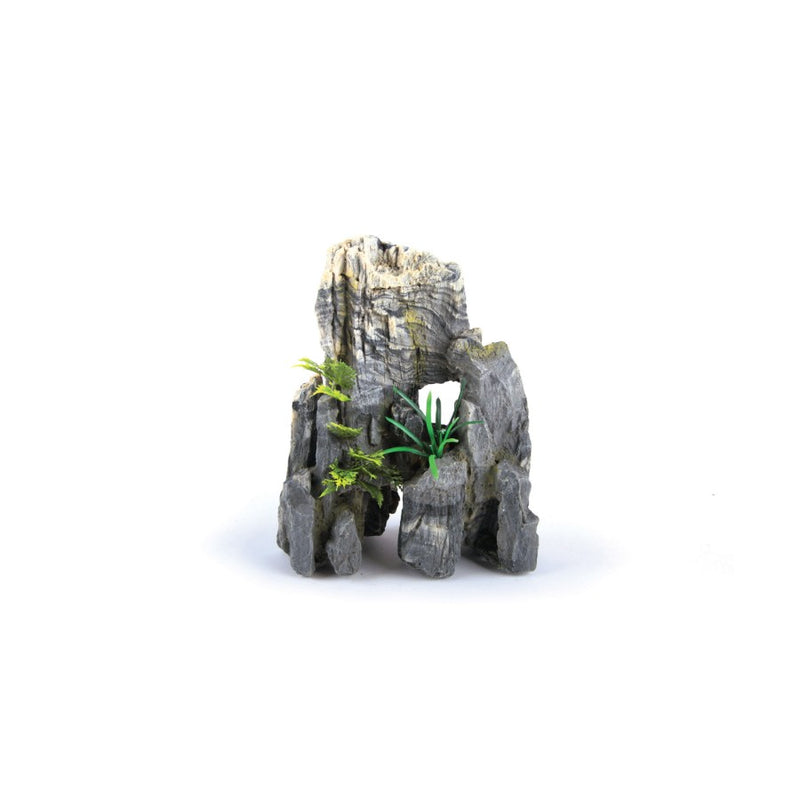 Kazoo Granite Rock With Plant