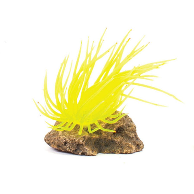 Kazoo Soft Grass Coral With Rock